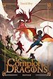 Télécharger le livre :  Le complot des dragons - Aventure fantasy avec magie et dragons - Roman jeunesse dès 10 ans