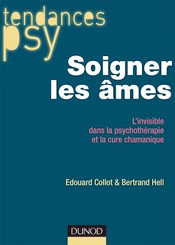 Télécharger le livre :  Soigner les âmes