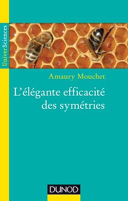 Télécharger le livre :  L'élégante efficacité des symétries