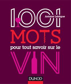 Télécharger le livre :  1001 mots pour tout savoir sur le vin