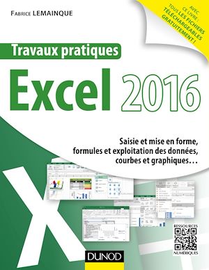 TRAVAUX PRATIQUES AVEC EXCEL 2016 - SAISIE ET MISE EN FORME, FORMULES ET EXPLOITATION DES DONNEES...