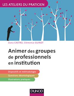Télécharger le livre :  Animer des groupes professionnels en institution
