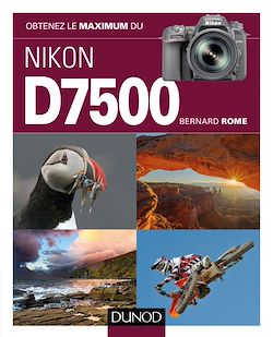 Télécharger le livre :  Obtenez le maximum du Nikon D7500