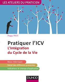 Télécharger le livre :  Pratiquer l'ICV - 2e éd.