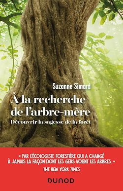 Télécharger le livre :  A la recherche de l'arbre-mère