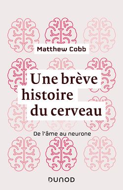 Télécharger le livre :  Une brève histoire du cerveau