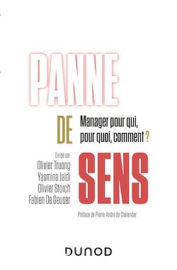 Télécharger le livre :  Panne de sens