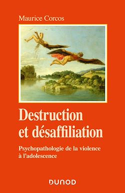 Télécharger le livre :  Destruction et désaffiliation