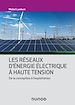 Télécharger le livre :  Les réseaux d'énergie électrique à haute tension