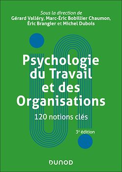 Télécharger le livre :  Psychologie du Travail et des Organisations : 120 notions clés - 3e éd.