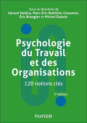 Téléchargez le livre :  Psychologie du Travail et des Organisations : 120 notions clés - 3e éd.