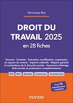 Télécharger le livre :  Droit du travail 2025 en 28 fiches