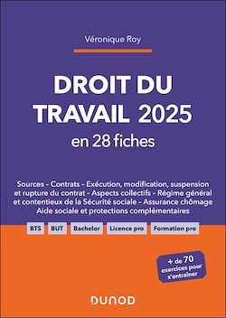 Télécharger le livre :  Droit du travail 2025 en 28 fiches