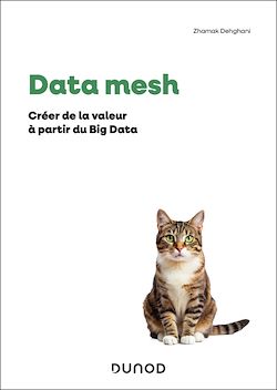 Télécharger le livre :  Data Mesh