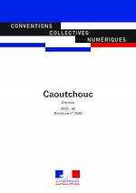 Télécharger le livre :  Caoutchouc