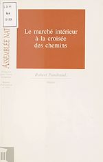 Télécharger le livre :  Le Marché intérieur à la croisée des chemins