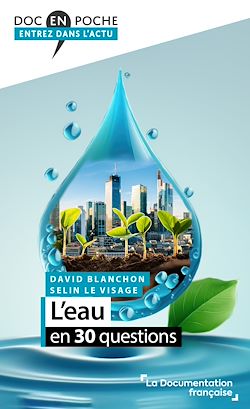 Télécharger le livre :  L'eau en 30 questions