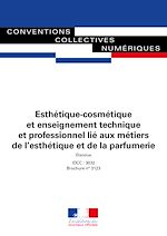Télécharger le livre :  Esthétique-cosmétique et enseignement technique et professionnel lié aux métiers de l'esthétique et de la parfumerie
