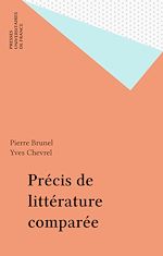 Télécharger le livre :  Précis de littérature comparée