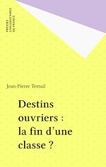 Télécharger le livre :  Destins ouvriers : la fin d'une classe ?