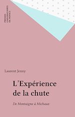 Télécharger le livre :  L'Expérience de la chute