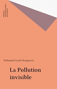 Téléchargez le livre :  La Pollution invisible