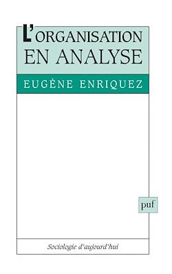Télécharger le livre :  L'organisation en analyse
