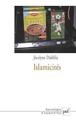 Télécharger le livre :  Islamicités