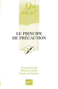 Télécharger le livre :  Le principe de précaution
