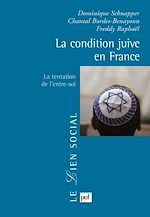Download this eBook La condition juive en France