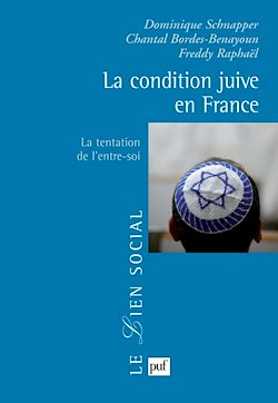 Télécharger le livre :  La condition juive en France : La tentation de l'entre-soi