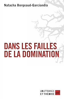 Télécharger le livre :  Dans les failles de la domination