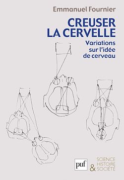 Télécharger le livre :  Creuser la cervelle : Variations sur l'idée de cerveau