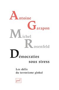 Téléchargez le livre :  Démocraties sous stress : Les défis du terrorisme global
