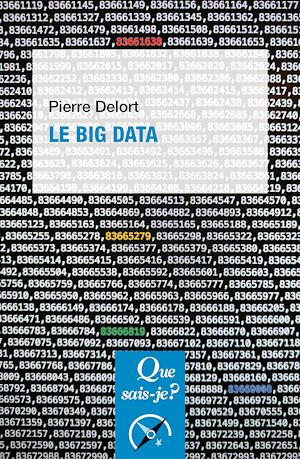 Téléchargez le livre :  Le Big Data