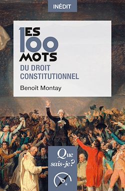Télécharger le livre :  Les 100 mots du droit constitutionnel