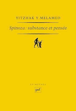 Télécharger le livre :  Spinoza : Substance et pensée
