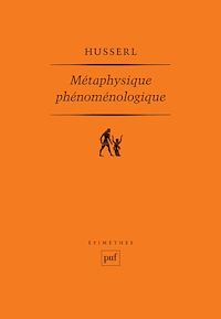 Téléchargez le livre :  Métaphysique phénoménologique