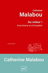 Téléchargez le livre :  Au voleur !