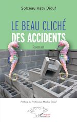 Télécharger le livre :  Le beau cliché des accidents