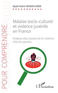 Télécharger le livre :  Malaise socio-culturel et violence juvénile en France