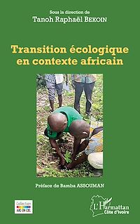 Télécharger le livre :  Transition écologique en contexte africain