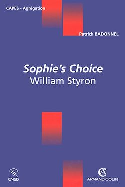Télécharger le livre :  Sophie's Choice