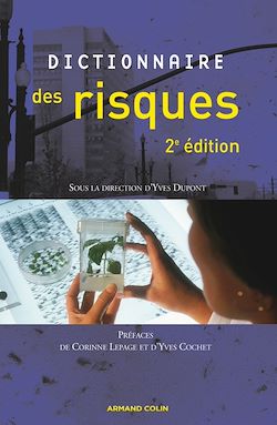 Télécharger le livre :  Dictionnaire des risques