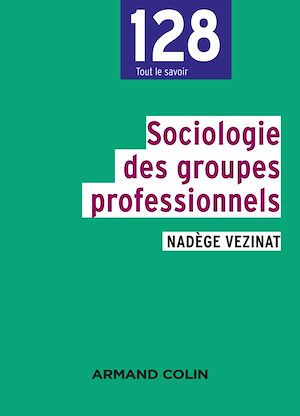 Téléchargez le livre :  Sociologie des groupes professionnels