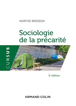 Télécharger le livre :  Sociologie de la précarité - 3e éd.