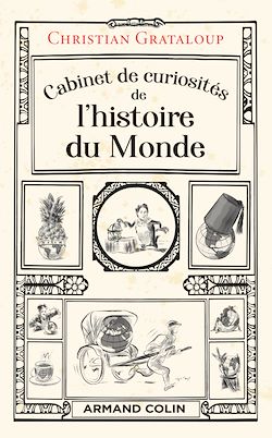 Télécharger le livre :  Cabinet de curiosités de l'histoire du Monde
