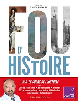 Télécharger le livre :  Fou d'Histoire