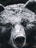 Télécharger le livre :  La Dernière Reine - édition luxe