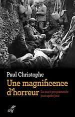 Télécharger le livre :  Une magnificence d'horreur